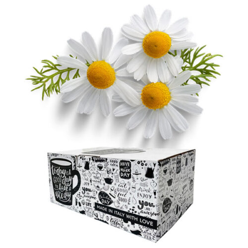 10 Nespresso compatible Chamomile Gimoka capsules on cialdeweb.it